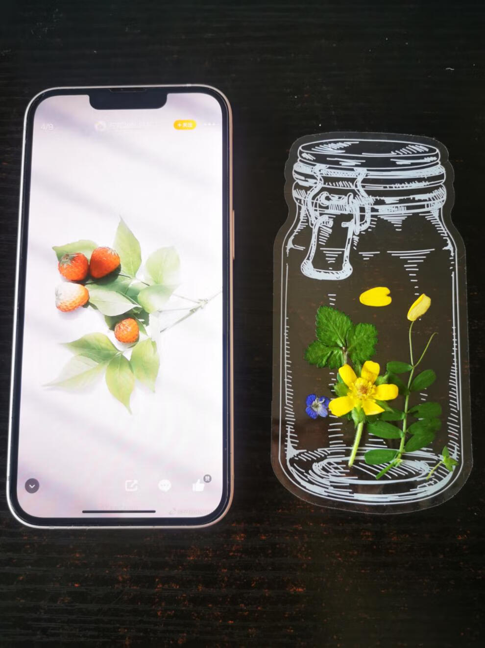 常青藤精选【收藏春天】【瓶子里的春天】pet玻璃瓶贴纸 手工diy 透明