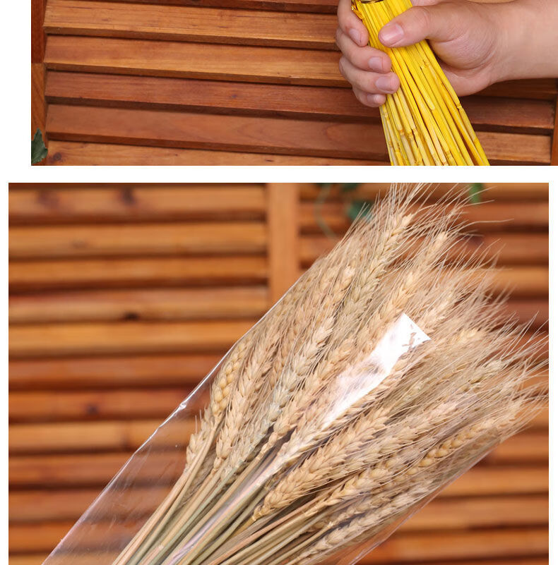 园艺干花小麦天然麦穗开业花篮田园装饰礼品拍摄道具小麦干花真花插花