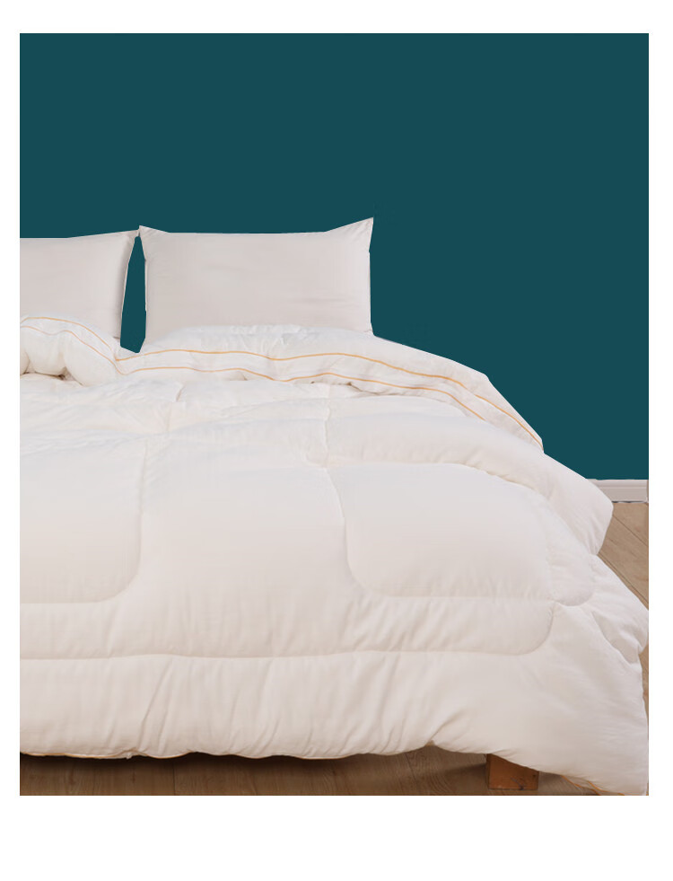 达芬奇家纺二合一拉链款子母被大豆纤维全棉被子被芯冬被加厚保暖四季