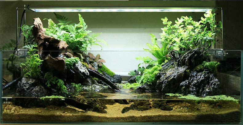 鱼缸发泡胶鱼缸黑色发泡胶剂造景用卡乐水族雨林水陆水草假山石头青龙