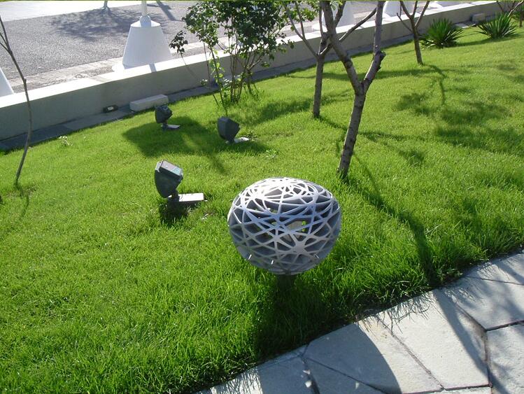 进口地毯草种籽免修剪别墅专用绿化草坪种子春季草籽四季常青楚风汉韵