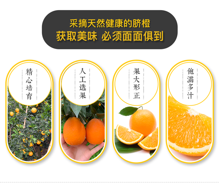 湖北秭归纽荷尔长虹脐橙大个整箱10斤现摘新鲜橙子甜橙65mm含70mm不含