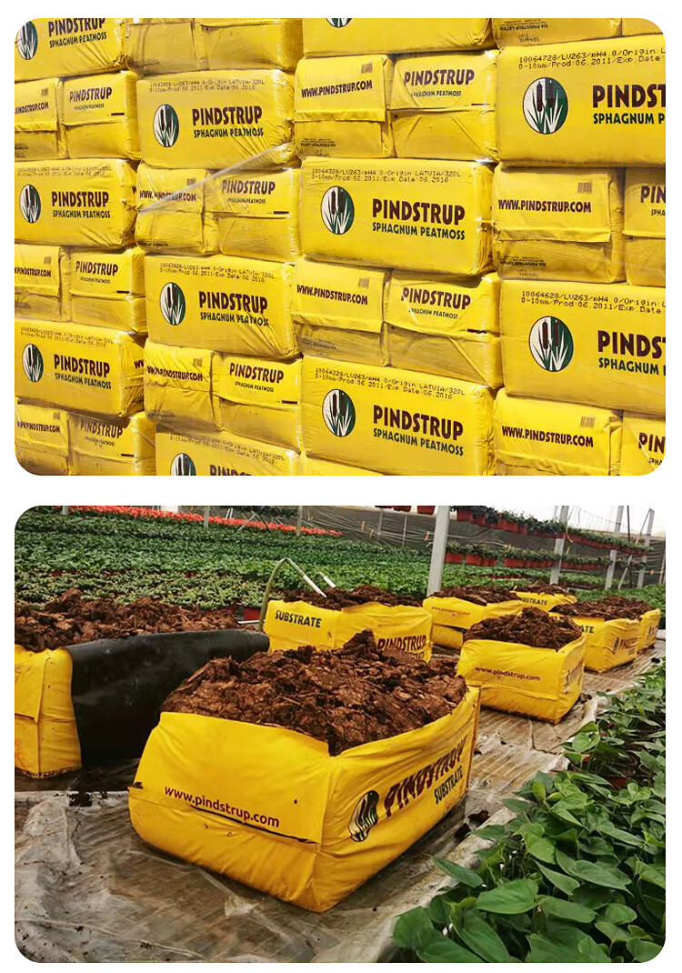 丹麦进口品氏泥炭土多肉专用营养土有机养花通用型育苗基质种植土