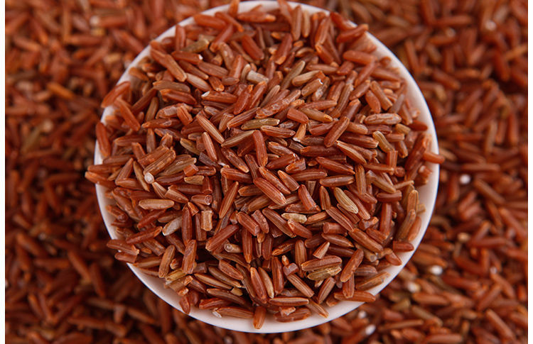 东北红米10斤农家自产新米红梗米红血稻糙米五谷杂粮5斤大米 红米5斤