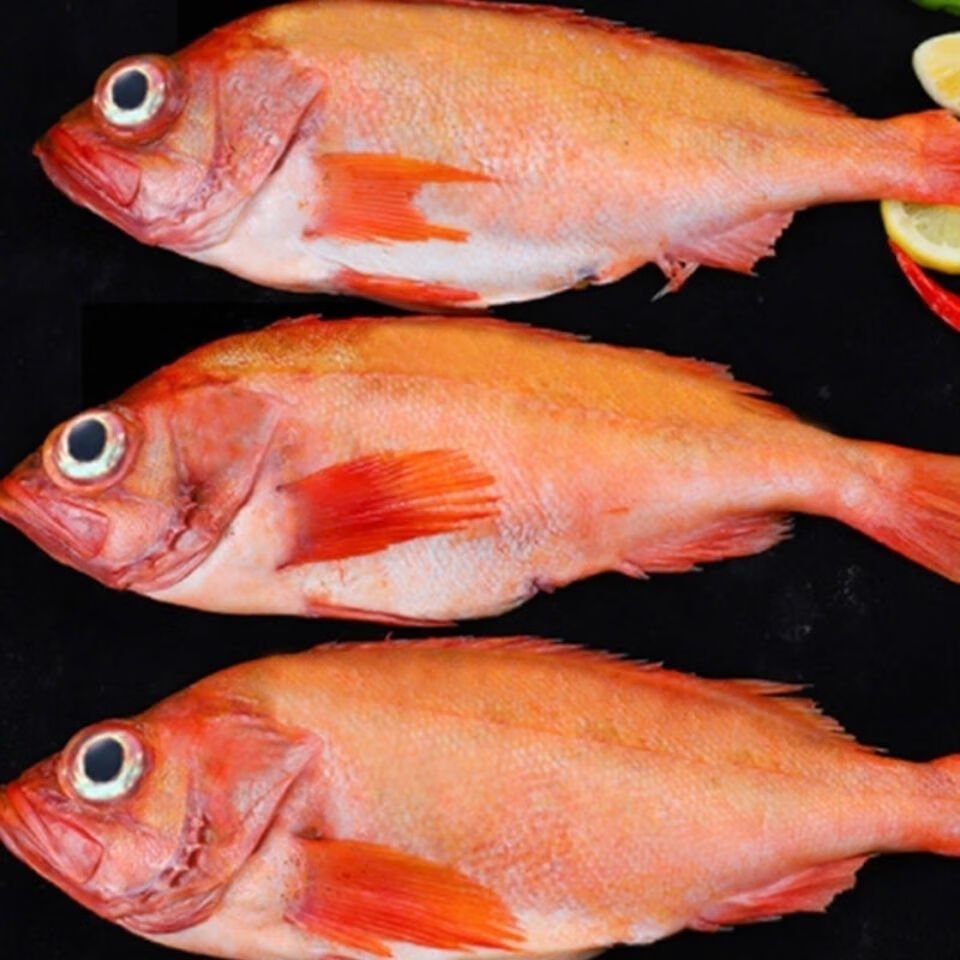 红石斑鱼整条鲜活速冻深海大眼鱼富贵鱼大龙胆鱼海鲜水产刺少肉多腾旺
