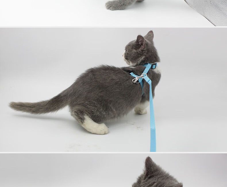 猫咪牵引绳猫链挣脱晒猫链子溜猫遛猫绳猫绳子猫牵引用品粉色小翅膀款