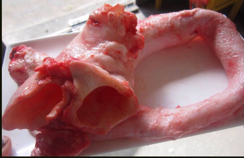 猪牛羊肉 牛肉 其他牛肉 十里炊烟 新鲜牛心管牛黄喉现宰牛黄喉牛胸口