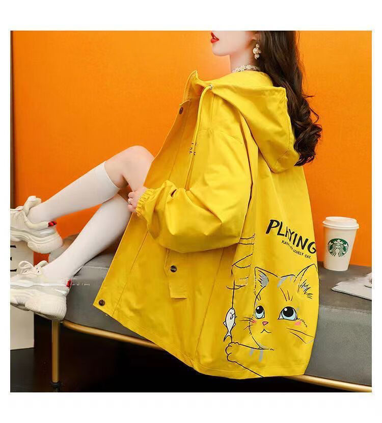 ͼ