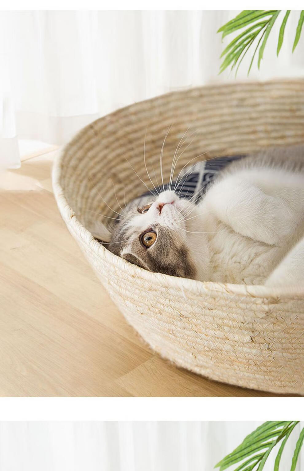 0kg店铺:宠言堂宠物生活专营店商品编号:10046654998378商品名称:日系