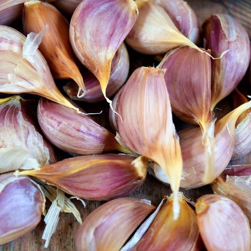 紫皮大蒜出蒜台红皮小蒜瓣蒜苗苔蒜寒蒜香蒜硬叶蒜子可种植可食用