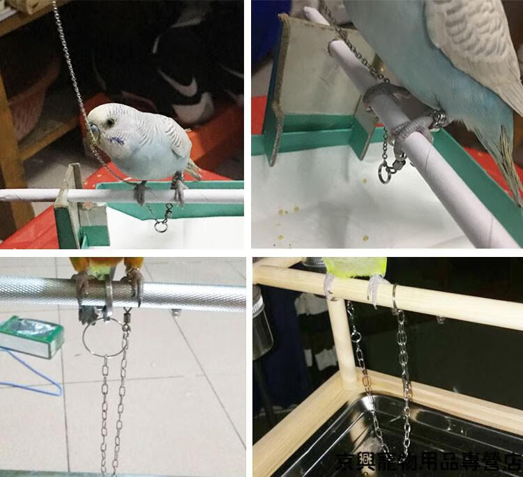 鹦鹉虎皮牡丹玄凤合金脚环 八哥鸟环不锈钢鹦鹉脚链 站架鸟链 细脚链