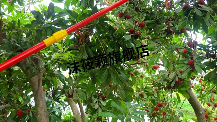蓝莓采摘器 水果采摘神器工具高空摘果剪摘柿子橘子伸缩摘果器杏杨梅