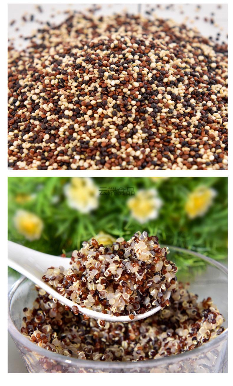 青海高原藜麦三色藜麦米白藜麦五谷杂粮米粗粮孕产妇宝宝营养粥蚕普通