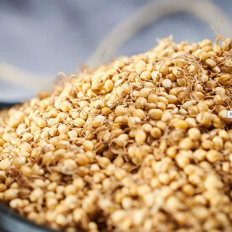 北京同仁堂生谷芽中药材谷牙茶谷芽粉双芽水500g有麦芽稻芽山楂