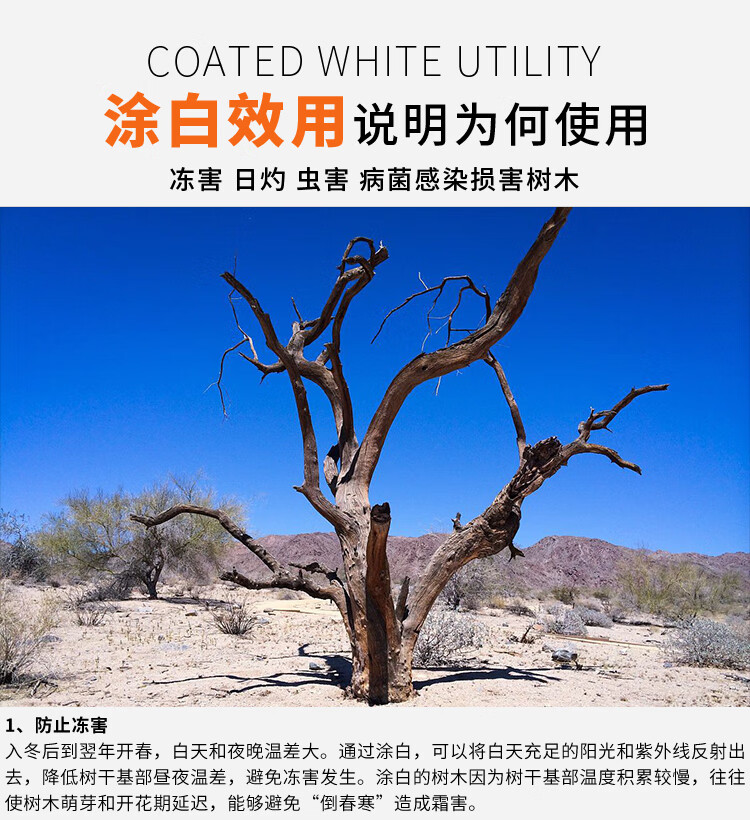 国光膜泰树干涂白剂石灰防寒防虫杀菌可喷涂涂白剂20kg刷树糊涂膜600g