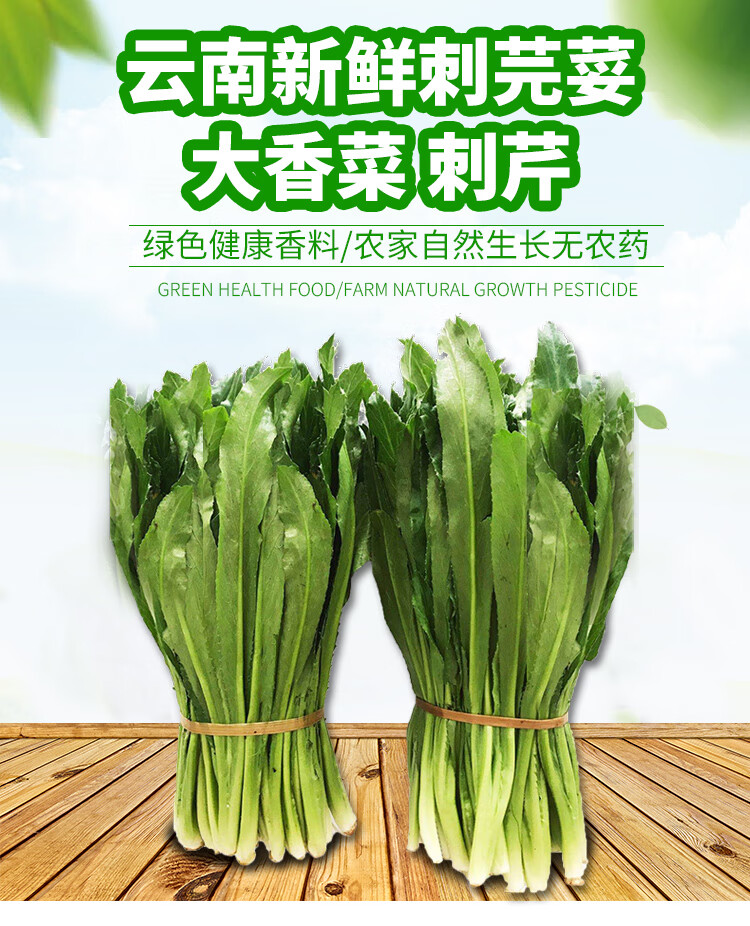 新鲜芜荽大香菜1斤 越南香菜大叶泰国刺芫荽 老番香丝山野刺芹 蔬菜