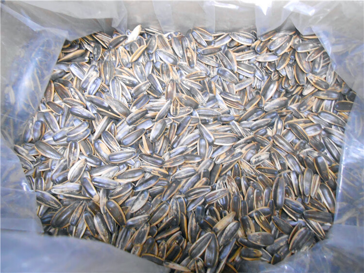 10斤原味散装瓜子/五香奶油焦糖批发葵花籽5000g十斤整箱瓜子 10斤