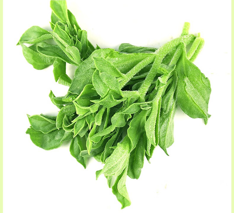 山东当季新品冰草新鲜蔬菜当季冰菜即食生吃蔬菜沙拉食材新鲜两盒500g