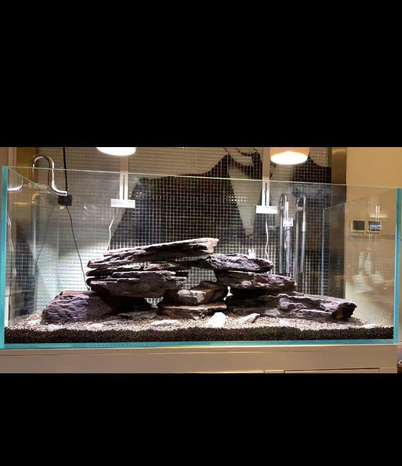 片岩原生溪流缸造景乌龟晒台虾虎三湖躲避爆藻开缸石冷水鱼溪流石中