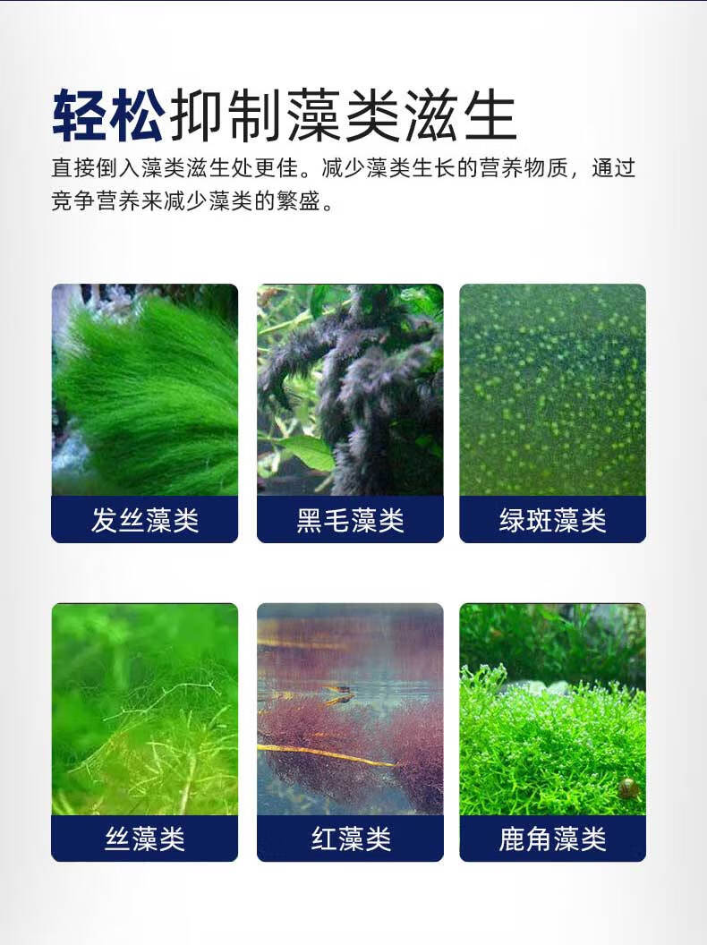 鱼缸青苔和绿藻区别图图片