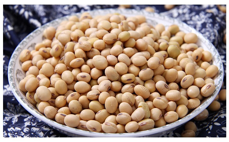 年货新豆老品种黄豆农家自种黄豆笨黄豆打豆浆专用2000克