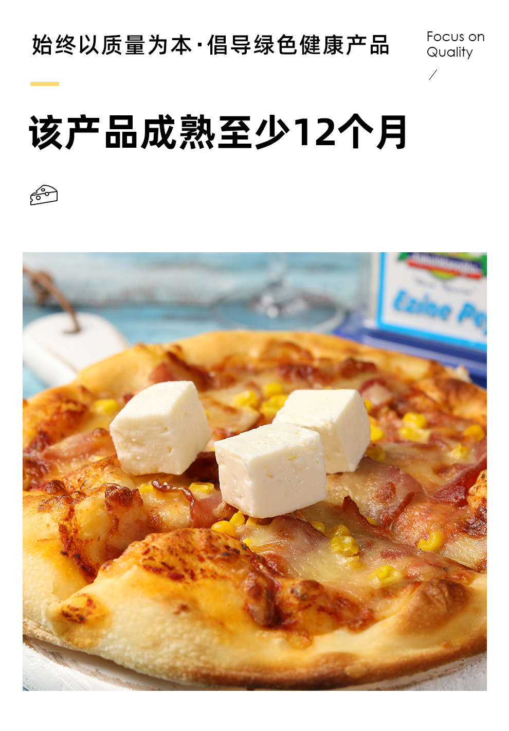 土耳其成熟山羊奶白干酪ezinepeyniricheese半硬质山羊奶酪进口 200g