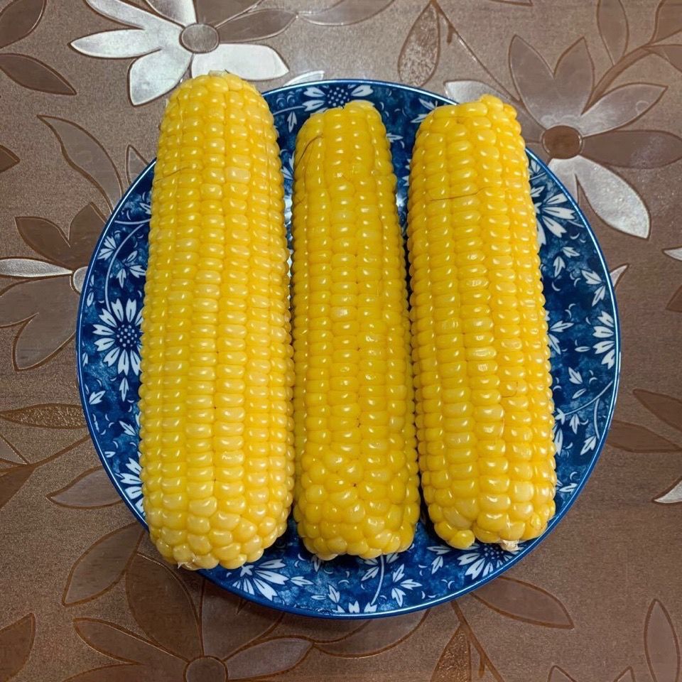 新鲜东北甜糯黄玉米棒黏玉米香甜可口 300g以上精品大棒黄糯 10棒