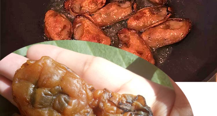 深圳特产沙井蚝豉生蚝干牡蛎干海蛎子水产海产品海鲜干货展志曼智