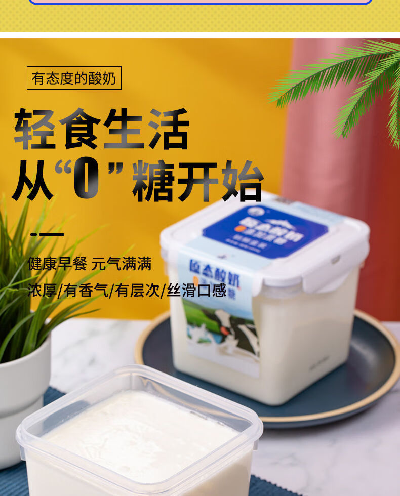 蒙伊金2斤大桶无糖酸奶批发内蒙古零添加蔗糖纯酸奶新日期有糖老酸奶2