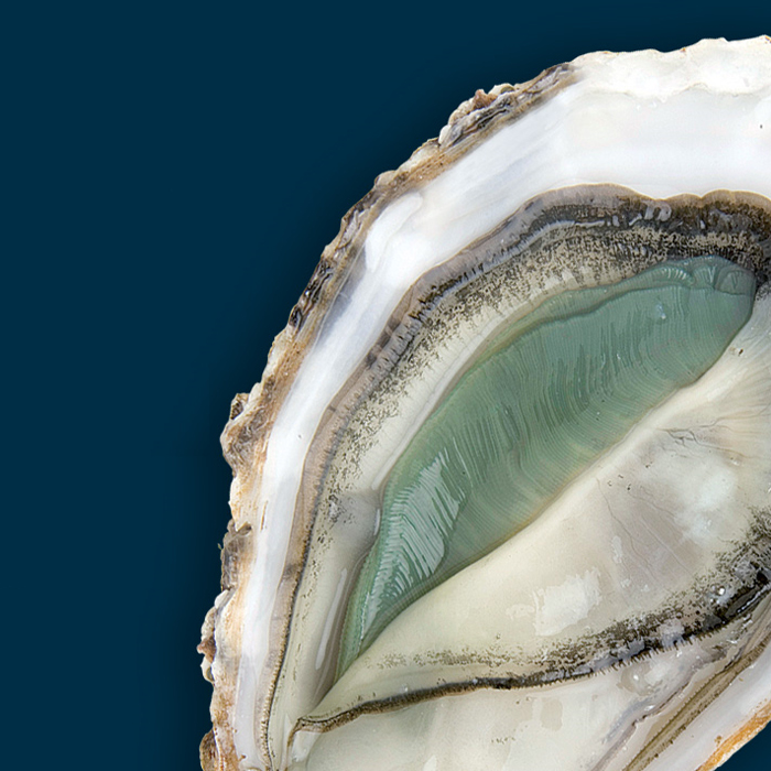 顺丰冷链多地隔日达法国生蚝绿翡翠n1n212只法国空运生蚝绿翡翠生蚝