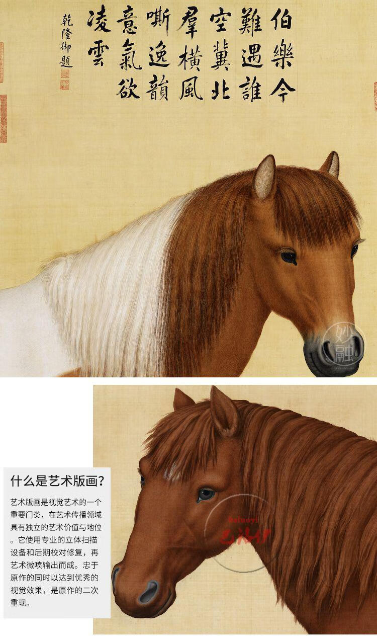 巴洛伊郎世宁十骏图骏马挂画马画像新中式客厅装饰画