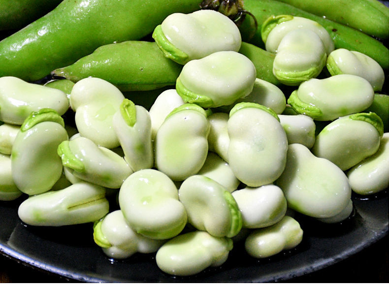 春光岛2022年新鲜蚕豆带壳大青蚕豆嫩胡豆四川本地当季现摘蔬菜豆荚