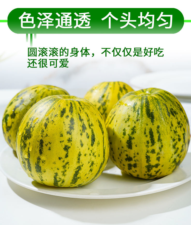 八里香甜瓜香瓜脆瓜花蕾甜瓜超甜新鲜现摘应季水果整箱甜香 5斤精选大
