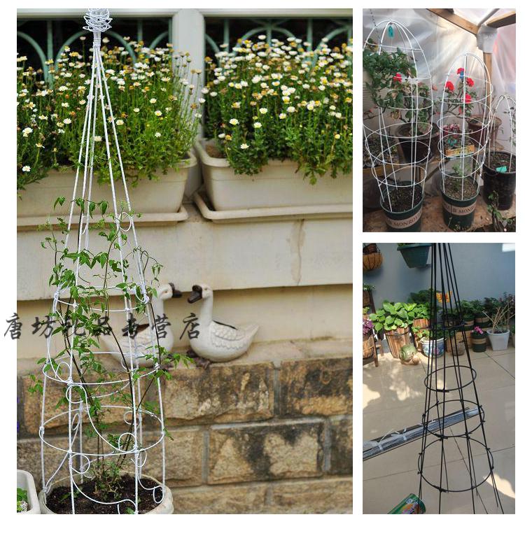 园艺包塑铁丝diy铁线莲支架植物攀爬架盆栽造型爬藤花架直花杆 4mm