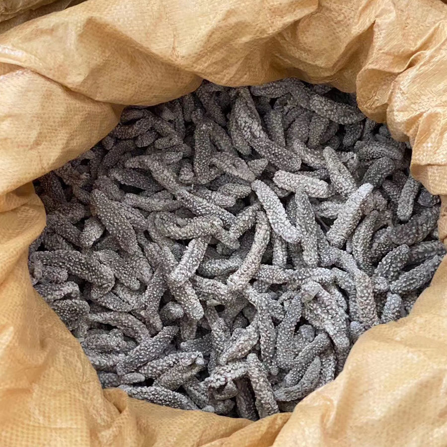 恬女神野生海参印尼白刺参白秃海参泡发肉质鲜嫩口感q弹营养丰富干货