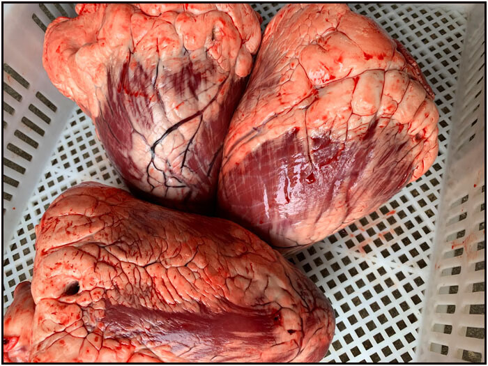 黄牛牛心一整个生牛心 牛心脏生牛心 新鲜牛心脏整个约7斤
