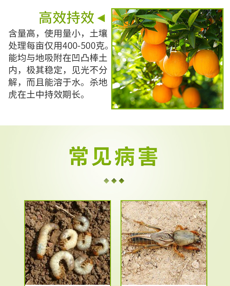 江山杀地虎10二嗪磷花生土壤地下害虫专用杀虫剂杀虫药长效农药500g