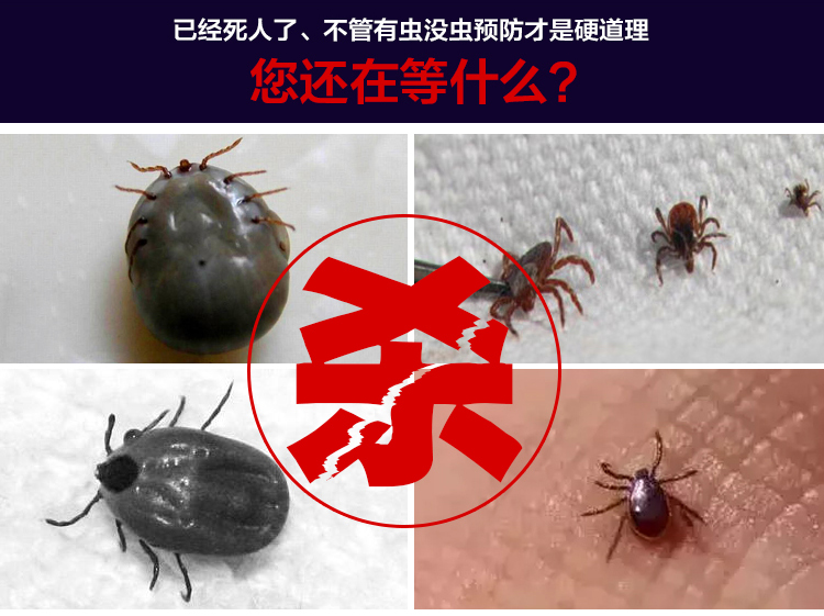 2022新款蜱虫杀虫剂家用 蜱虫药杀虫剂室内户外专杀潮蜱虫家用猪牛