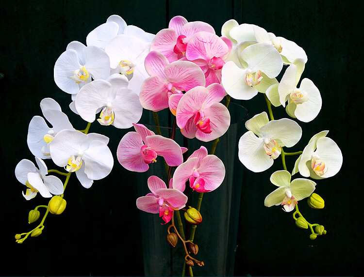 仿真花单支3d打印手感保湿兰花过胶手感假花装饰花婚庆样板间家居客厅