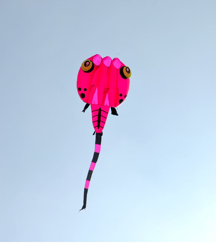 2022新款飞悦风筝国潮飞悦软体风筝微风王蝌蚪风筝3d立体伞布硅胶布