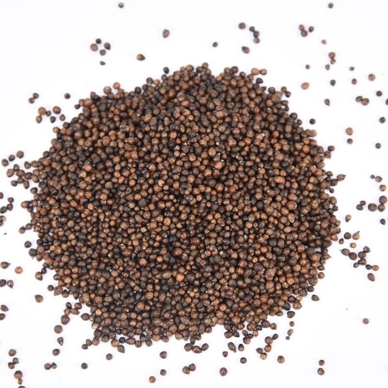 黄荆子布惊子布惊仁黄荆籽荆棵籽儿童枕头填充物布荆子黄荆子枕头pd