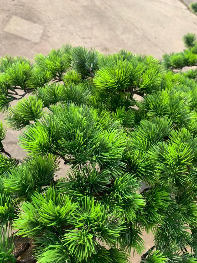 【品牌直营】仿真松树迎客松树大型罗汉松美人松盆景摆件酒店展厅装饰