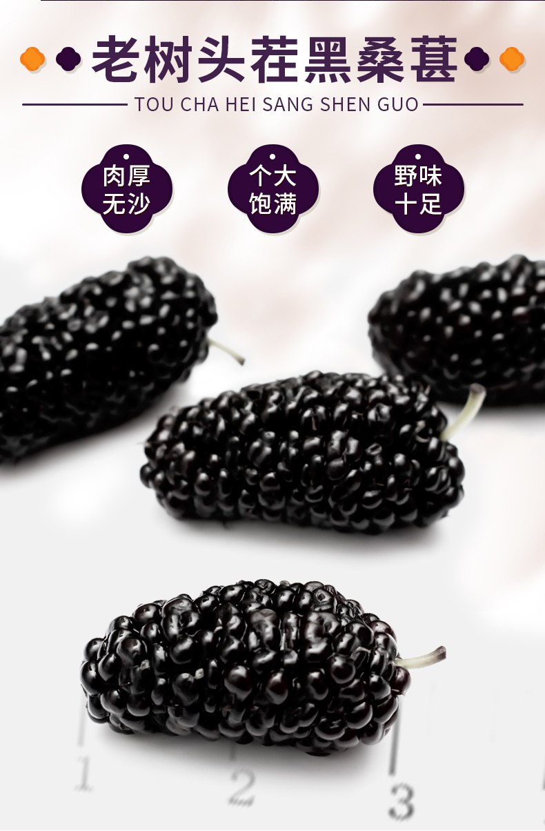 上水井桑葚醋原浆零添加果醋零脂肪黑桑葚甜醋调味330ml 瓶装【图片 