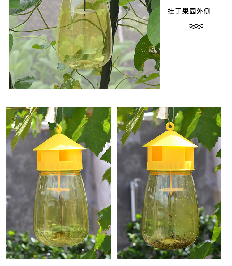 果蝇诱捕新款果蝇诱捕器瓜果实蝇诱捕剂果园菜地杀果蝇针蜂桔小实蝇