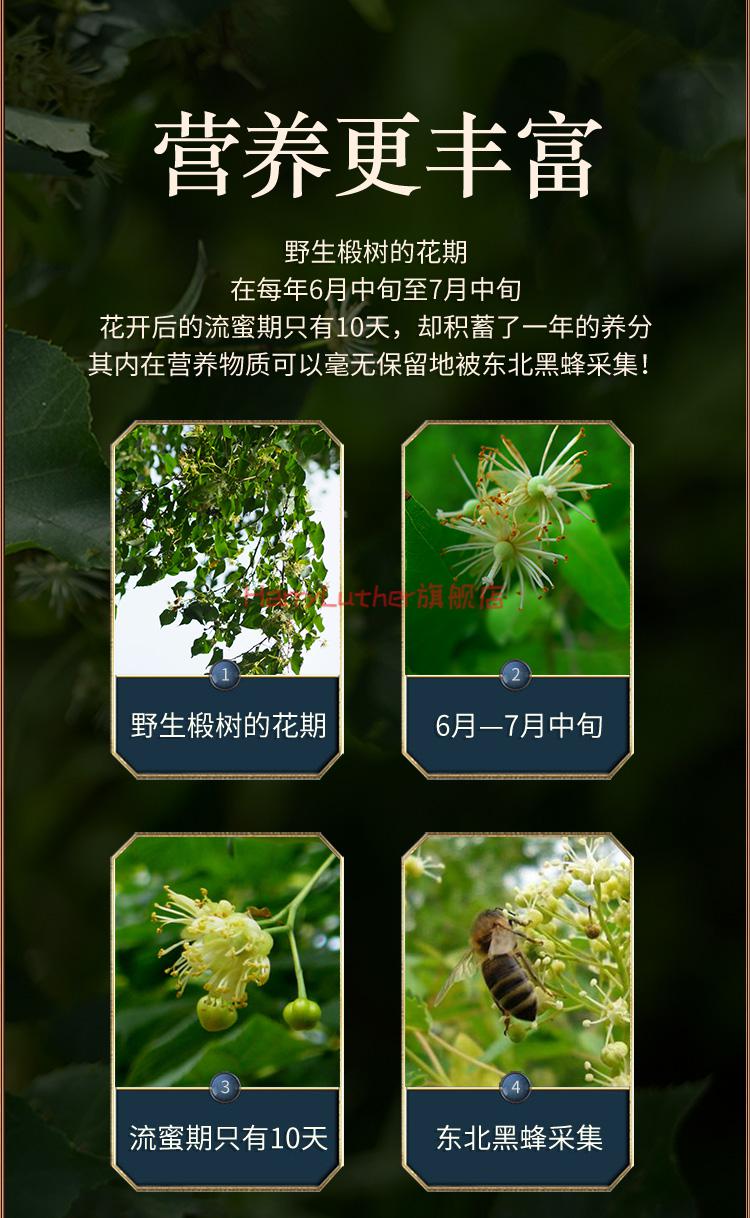 椴树雪蜜经典组合1000g 1000g-送便携蜜1【图片 价格 品牌 报价】