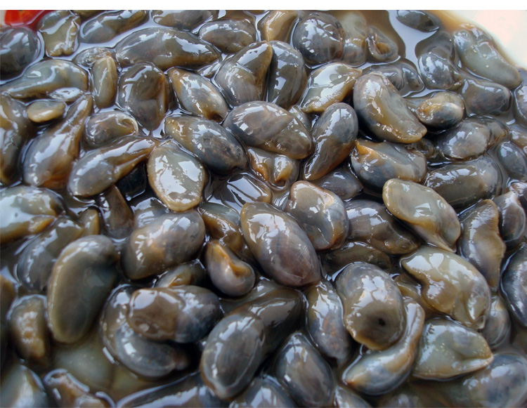 宁波特产海鲜咸泥螺500g宁海无沙咸泥螺黄泥螺新鲜腌制大泥螺