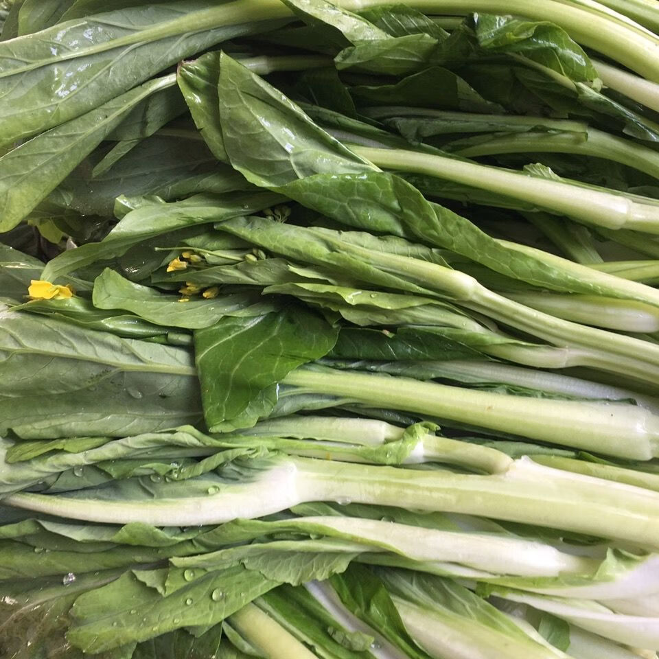 【精选生鲜】白菜苔新鲜蔬菜时令爽口脆甜青菜叶类菜小白菜农家 白菜