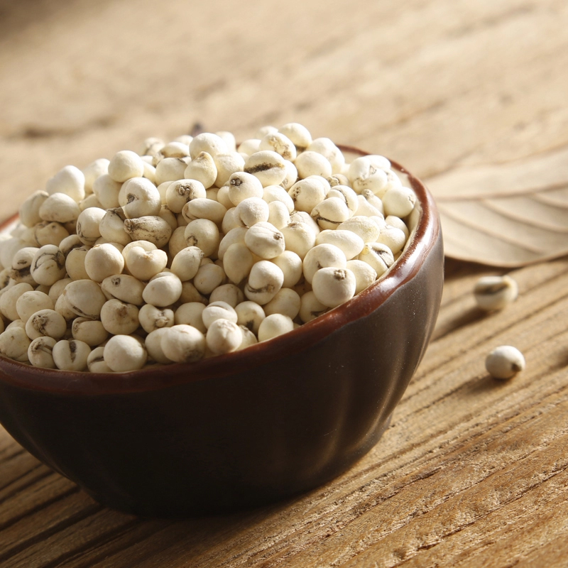 仙翁送宝 川贝母50g 精选四川产川贝母 天诚中药材饮片 川贝母 50g