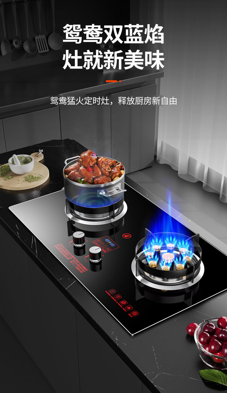 加厚不锈钢九腔猛火炉-大火力 全国联保【瓶装液化气】【图片 价格