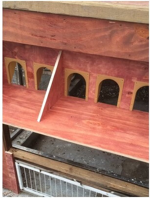 鸽子用品用具欧式进笼口门信鸽进门口撞门赛鸽具跳笼口活络门 加厚进